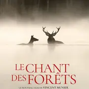 Cinéma Laruns : Le Chant des forêts