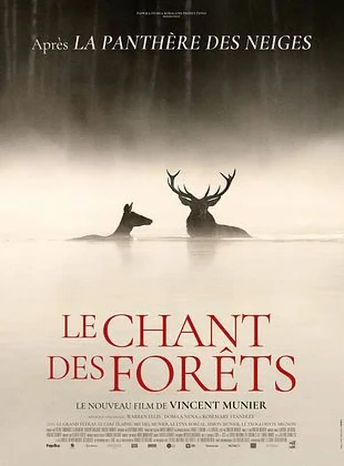 Cinéma Laruns : LE CHANT DES FÔRETS