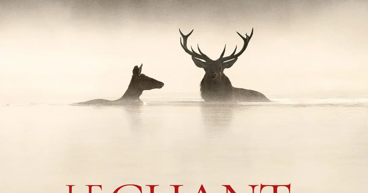 Cinéma "Le Chant Des Forêts"