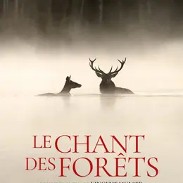 Cinéma Le Chant Des Forêts