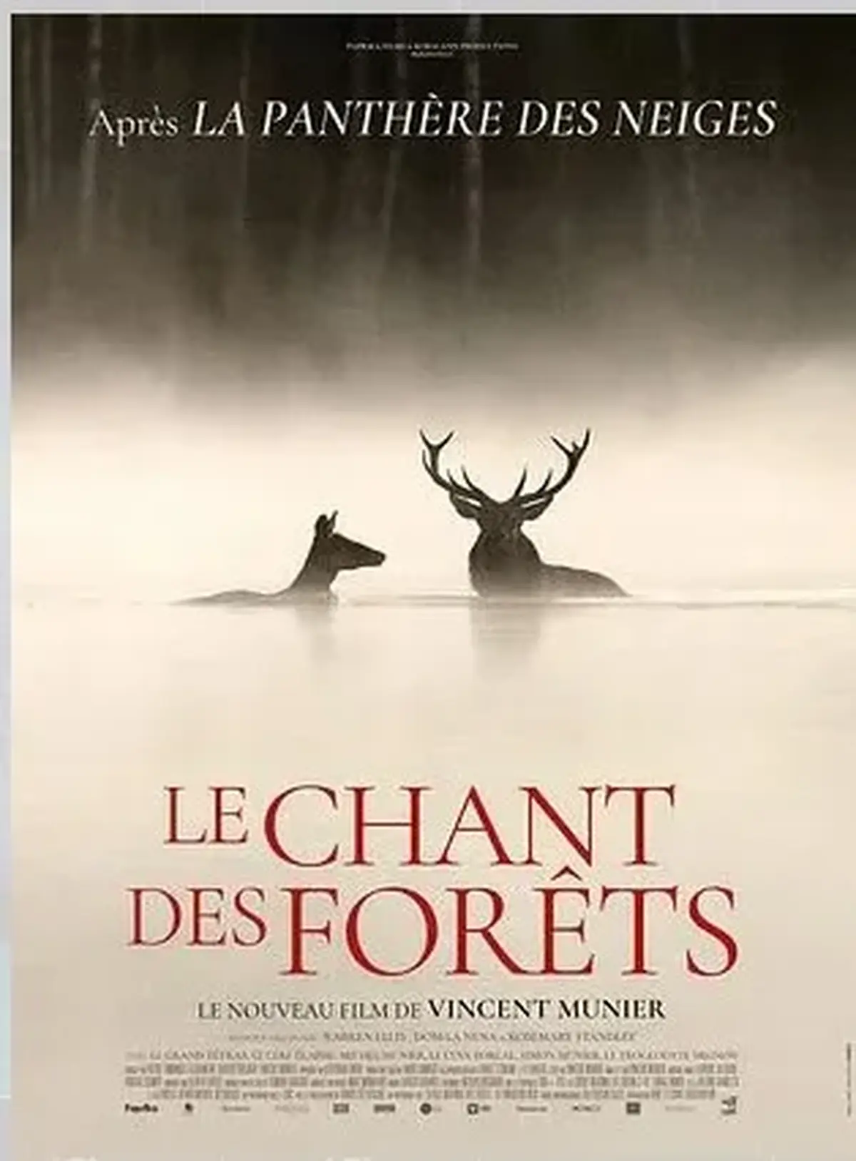 Cinéma : Le Chant des forêts
