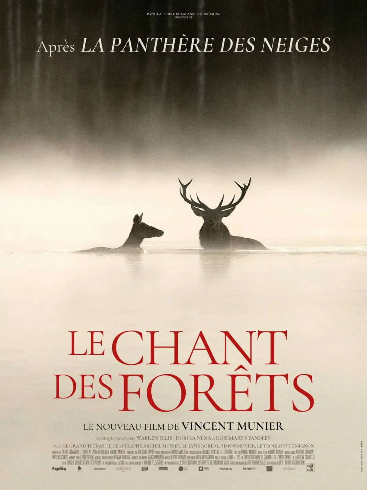 Cinéma : Le chant des forêts