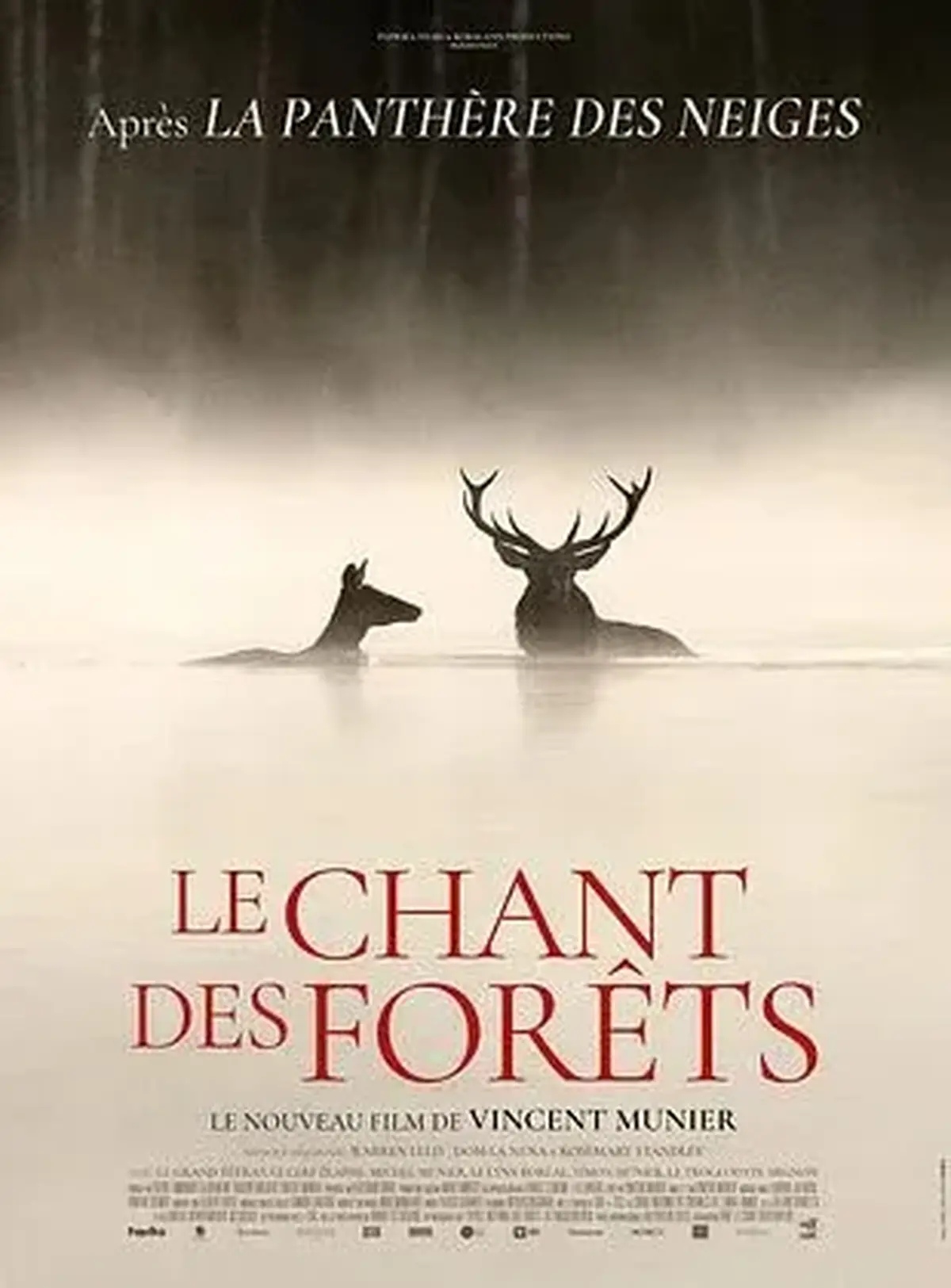 Cinéma : Le chant des forêts