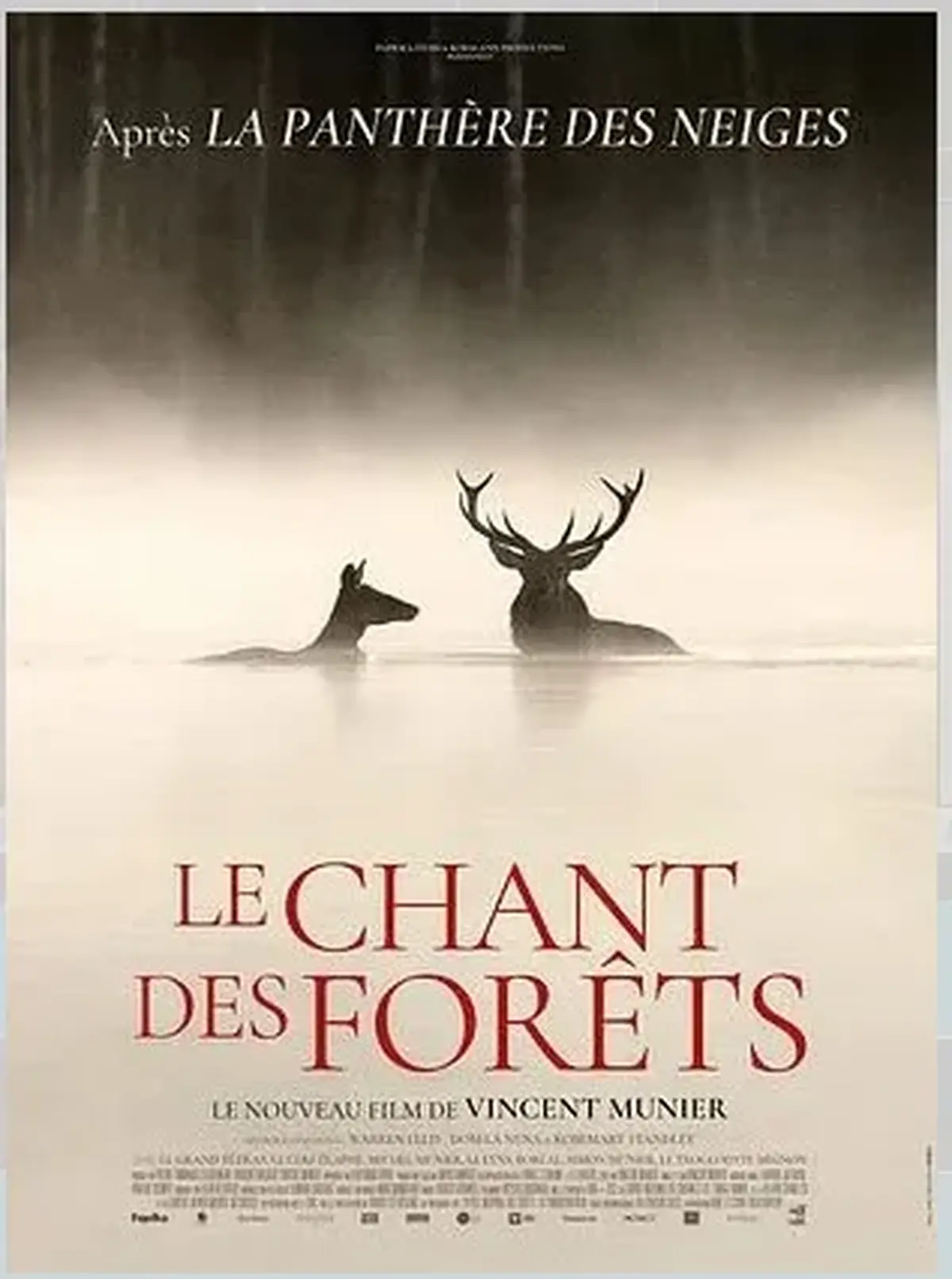 Cinéma : Le Chant des Forêts