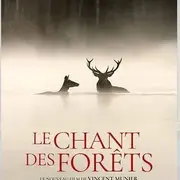 Cinéma : Le Chant des Forêts