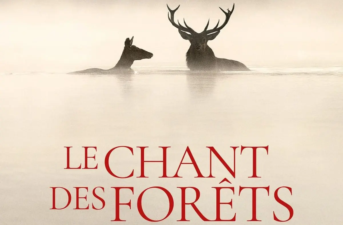 Cinéma | Le chant des forêts