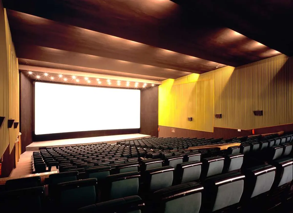 Cinéma : Les rayons et les ombres