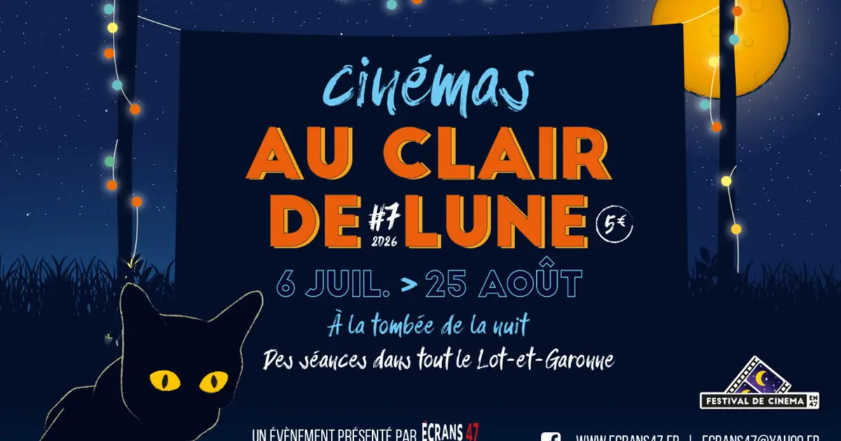 Cinéma plein air