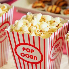 Cinéma plein air au camping des Roussilles