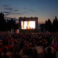 Cinéma plein air et concert