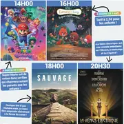 Cinéma : Super Mario Galaxy : le film, Edmond et Lucie : la forêt c'est l'aventure, Sauvage et La Venus électrique - Argences en Aubrac