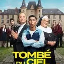 Cinéma : Tombé du ciel