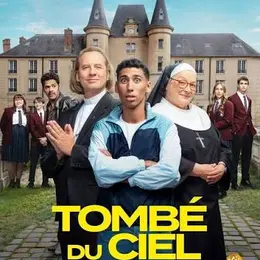 Cinéma : Tombé du ciel