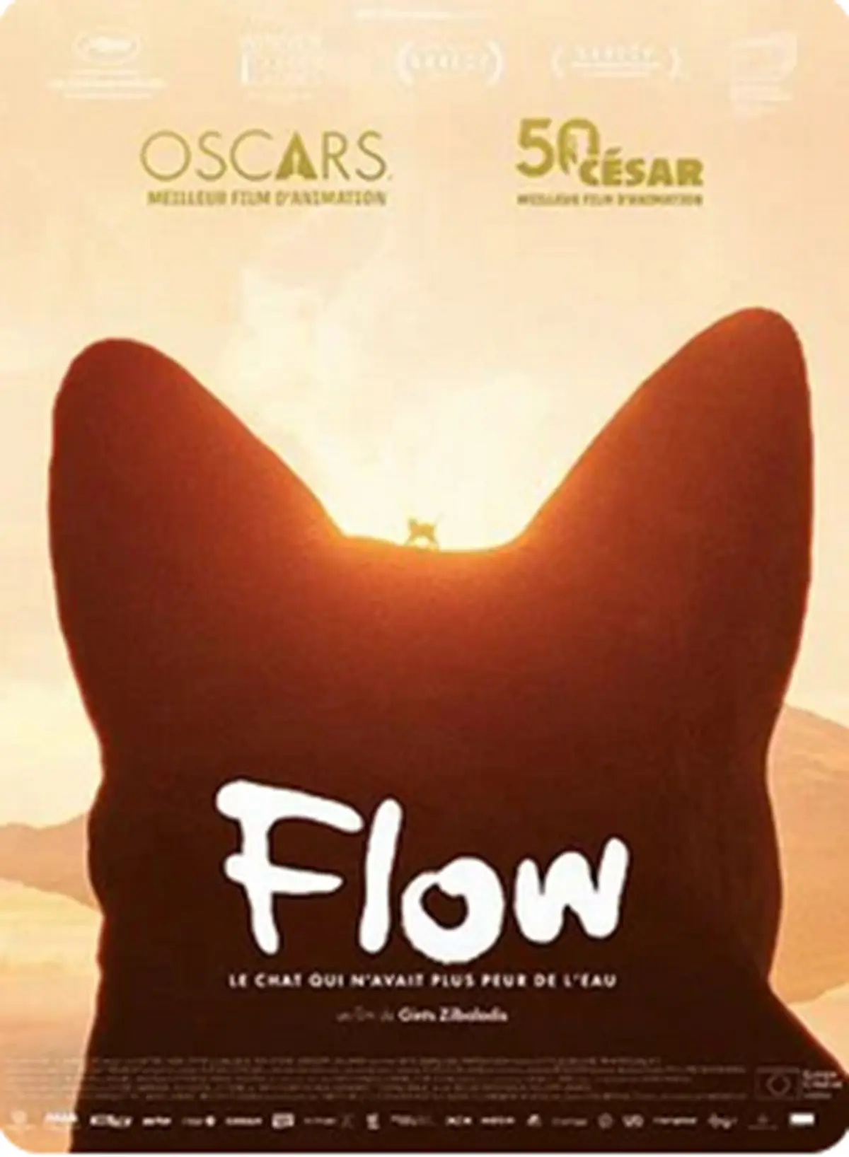 CinéToile sous les étoiles : Flow, le chat qui n'avait plus peur de l'eau