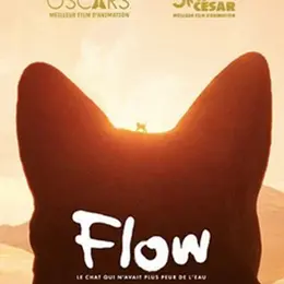 CinéToile sous les étoiles : Flow, le chat qui n'avait plus peur de l'eau