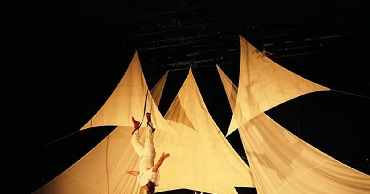 Circo infinito