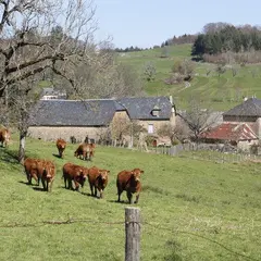 Circuit : à la découverte du patrimoine agricole de Saint-Hilaire-Taurieux