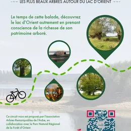 Circuit à vélo des arbres remarquables autour du Lac d’Orient