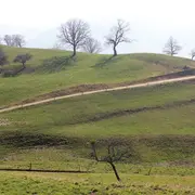 Escapade à Munster, entre histoire et nature