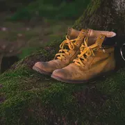 Circuit Paysage (PAH)