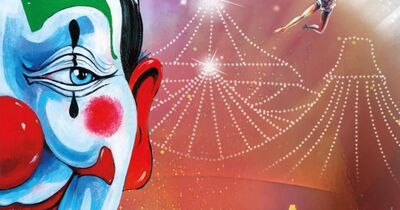Cirque Amar&reg; dans Maestria
