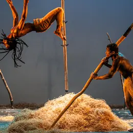 Cirque : Ancrage