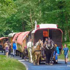 Cirque Bidon (Champ de Foire)