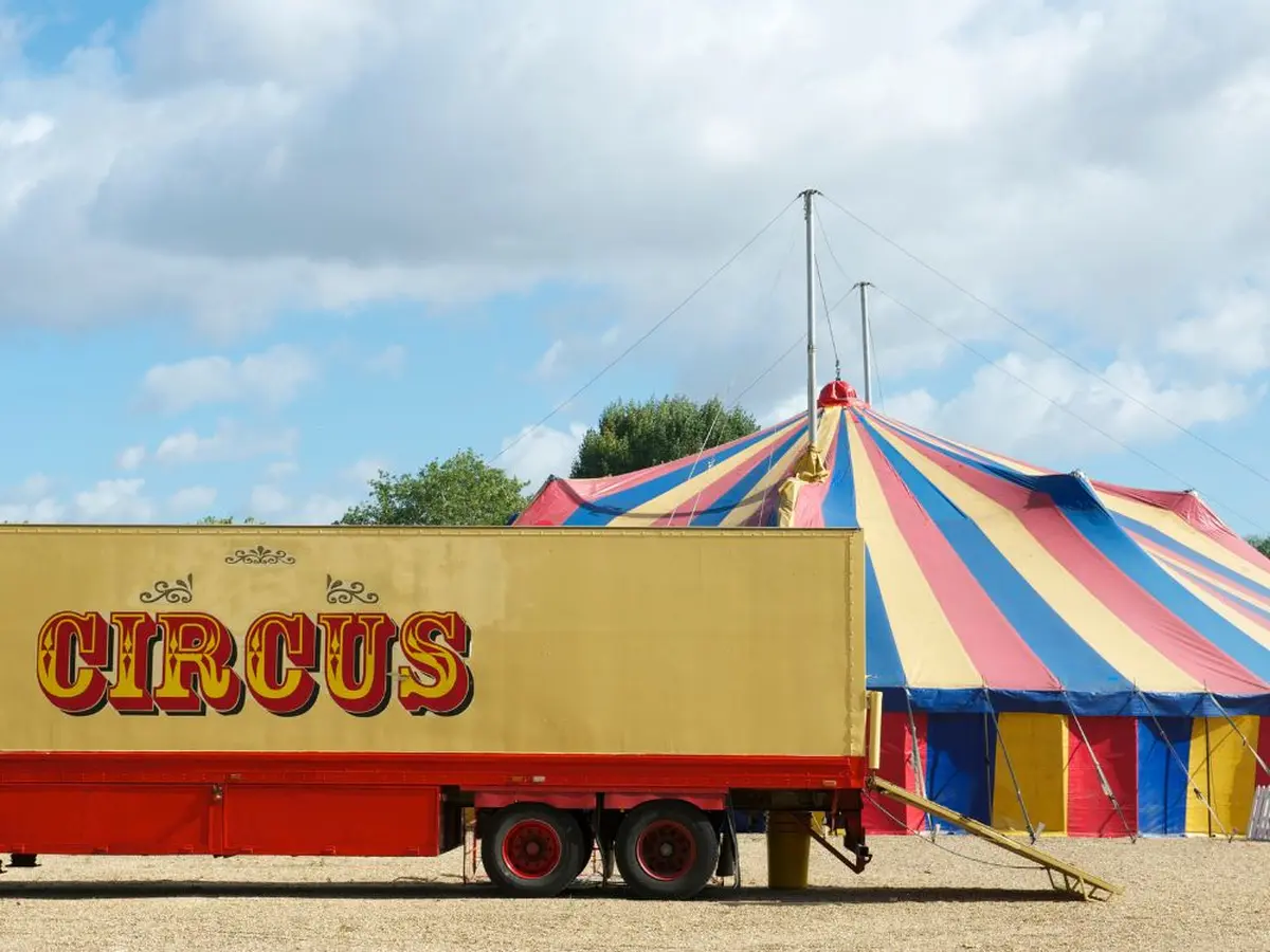 Cirque Calypso