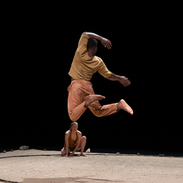 Cirque et danse - Musée de la Chasse et de la Nature