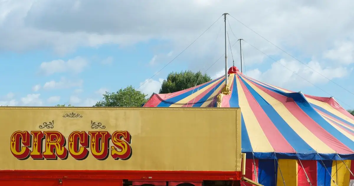 Cirque Johnny Circo