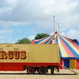 Cirque Johnny Circo