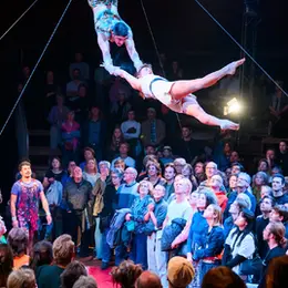 Cirque  Tout Va Hyper Bien  à Aiffres