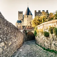 Cité de Carcassonne : Château + Remparts + Musée