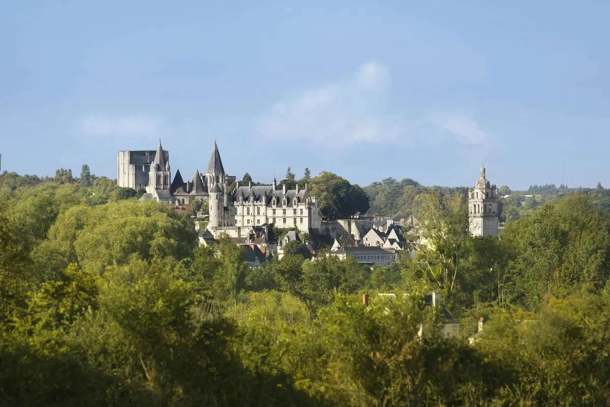 Vue panoramique d'un château historique et d'un village entouré d'arbres, avec un ciel bleu clair en arrière-plan.