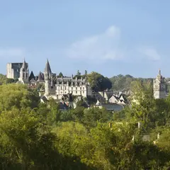 Cité royale de Loches : Billet d'entrée + Tablette AR