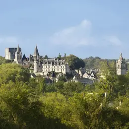 Cité royale de Loches : Billet d'entrée + Tablette AR