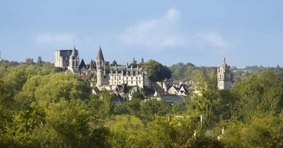 Cit&eacute; royale de Loches : Billet d'entr&eacute;e + Tablette AR