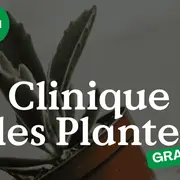 Clinique des Plantes