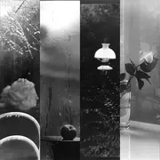 Close-up: Art autour de l'exposition Pixels et Poétique