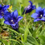 Club bota’ : atelier initiation à la photo macro