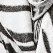 Club de lecture des Francophonies