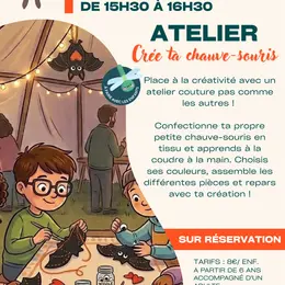Club des curieux - Crée ta chauve souris