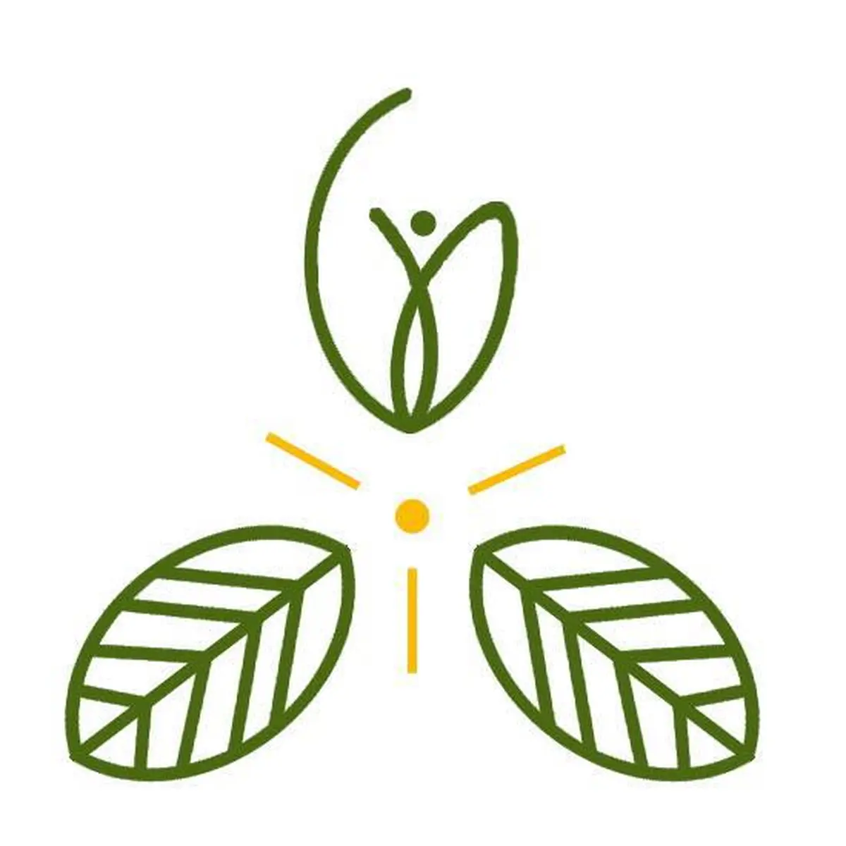 Club nature 3 - 6 ans