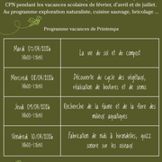 Club Nature - Fabrication de nids à hirondelles, quizz sonores sur les oiseaux