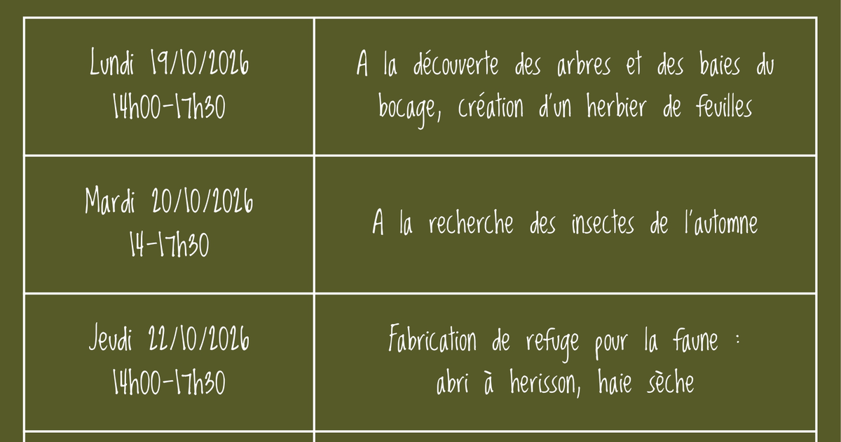 Club Nature - Fabrication de refuge pour la faune: abri à hérisson, haie sèche