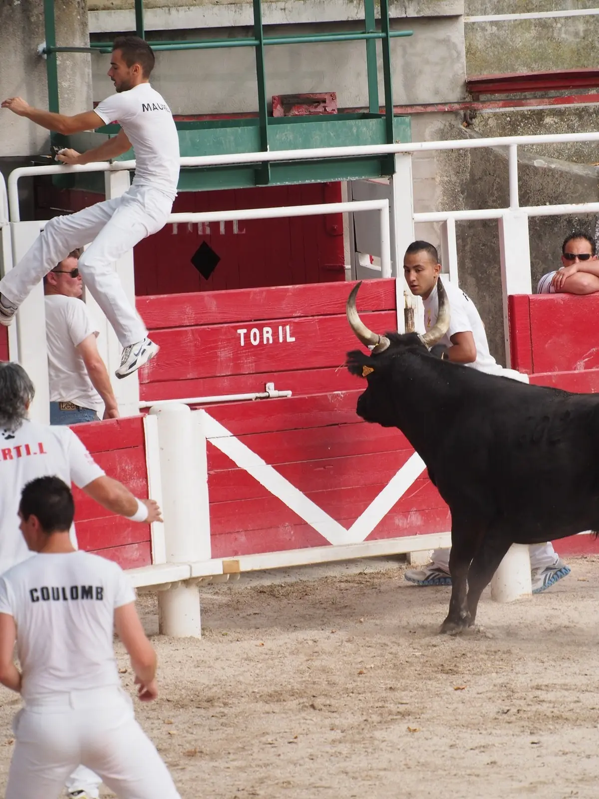 Club Taurin - Courses Camarguaise 2026
