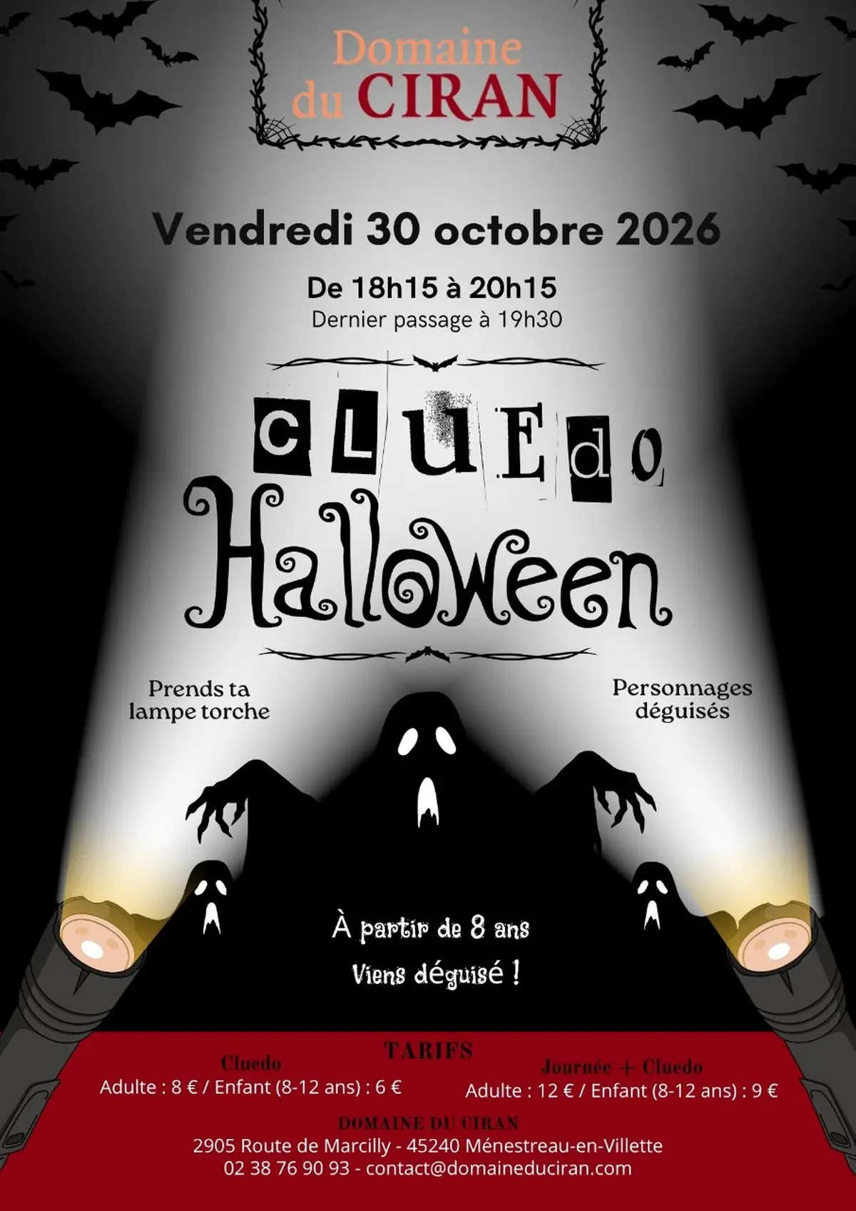 Cluedo Géant