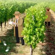Cluedo géant dans les vignes | Château du Haut Pezaud