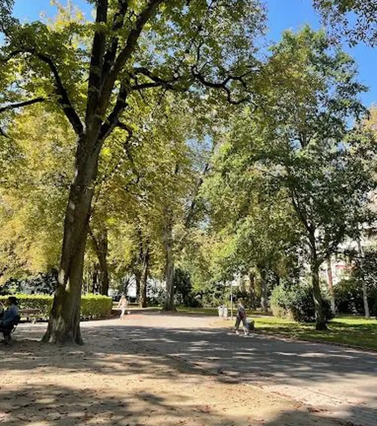 Vue du Parc Salvator