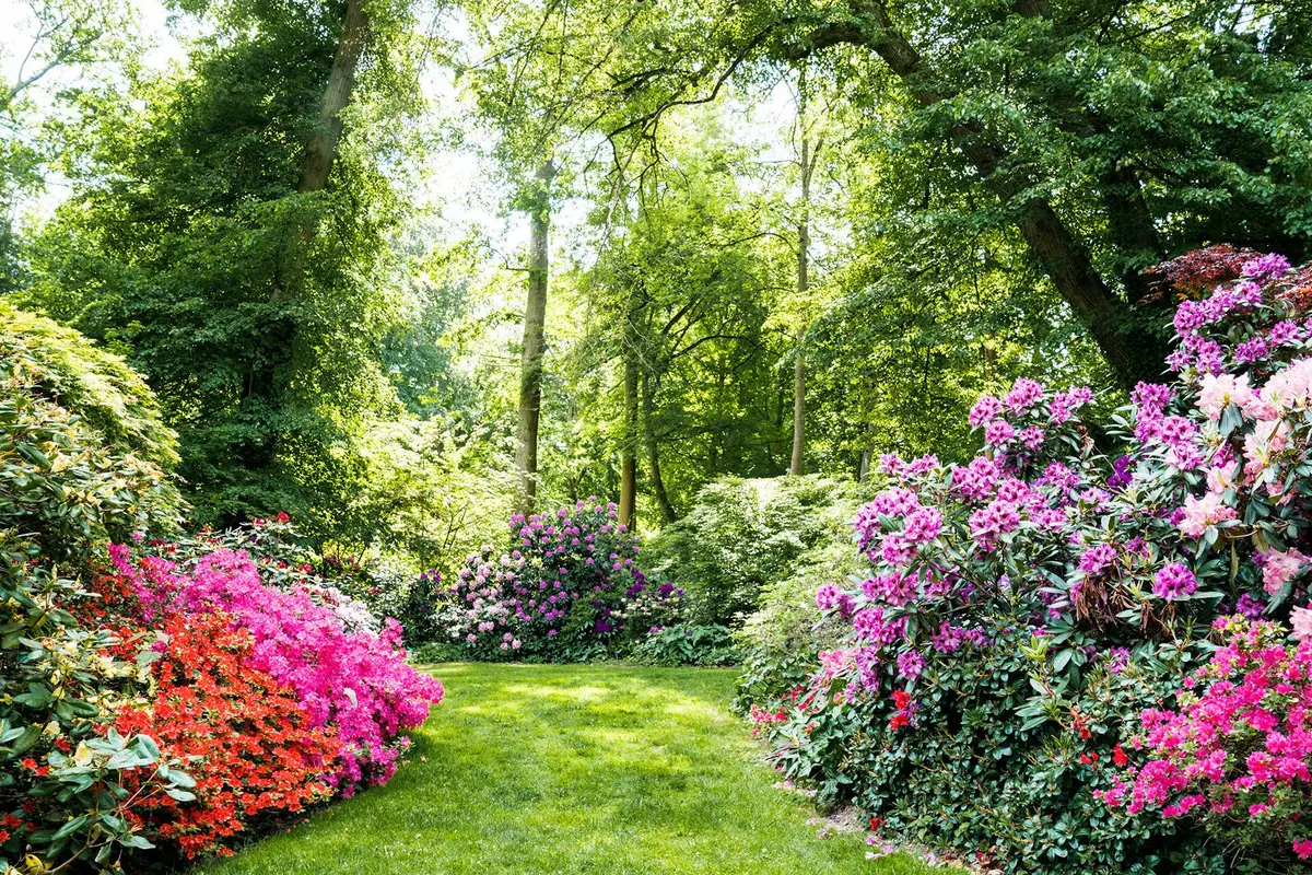 Vue depuis le zoo de Mulhouse